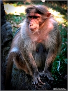 _DSF9304 (Copy)